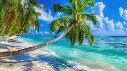 Fototapeta premium Tropical Beach Scene with Palm Trees and Clear Blue Water Under Bright Sky