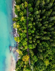 Aerial view showcases a road slicing through vibrant forest bordering turquoise water. The contrast creates a stunning natural composition