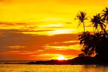 Nature tropical sunset paints the sky in fiery oranges and golds, with dramatic clouds. Silhouette palm trees and rocky coastline frame the setting sun as it dips towards the sparkling ocean horizon