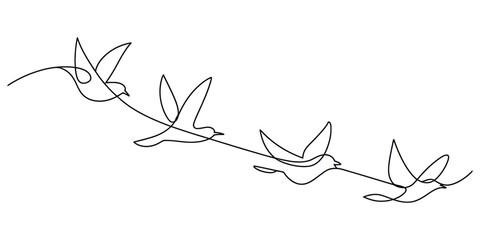 Minimalist one line art of four birds in flight, elegant design.