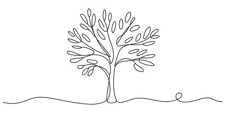 Minimalist line art tree with flowing roots and foliage sketch