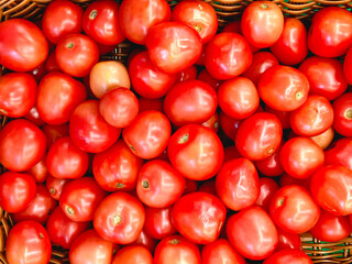 Fresh red tomatoes displayed in a market basket