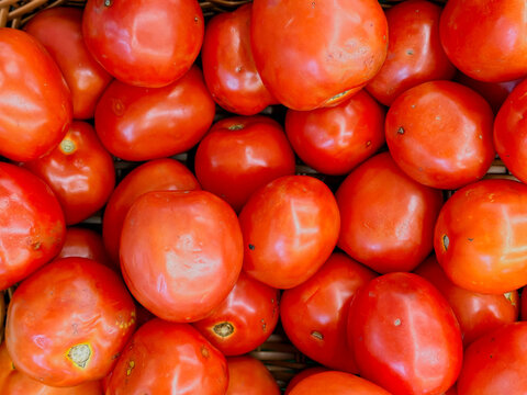 Fresh red tomatoes piled in a market basket