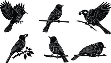 Elegant black bird silhouettes perched and flying on branches, detailed vector illustration set, natural wildlife design elements for decorative artwork, branding, and creative projects