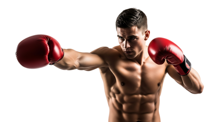 Boxer Training Boxing Match Athlete Fitness Martial Arts Punching Muscle
