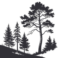 Monochrome silhouette of a coniferous forest with fir trees and pines on a hill isolated on evergreen woodland vector illustration in monochrome style