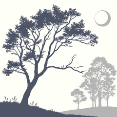 Silhouette of a tree with birds perched on its branches, set against a full moon and a, creating a serene and peaceful atmosphere isolated on