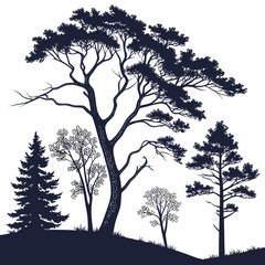 Silhouette of various trees isolated on pine, fir, birch, and others forest or park landscape element for design vector illustration