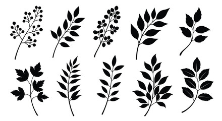 Elegant collection of black botanical illustrations featuring various delicate branches and leaves.