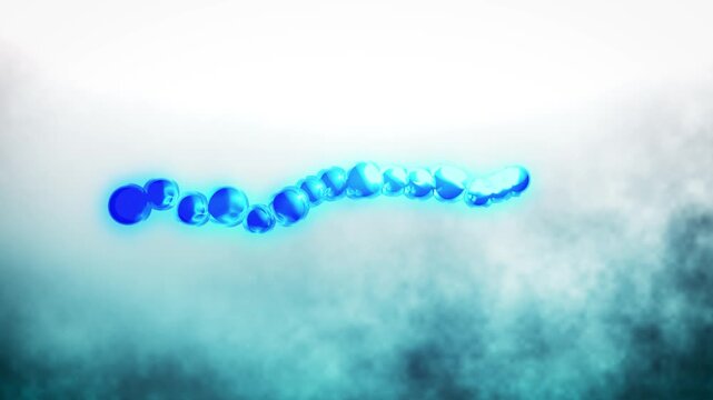 Amino Acids - Building Blocks of Protein Animation

No AI was used in the making of this content.