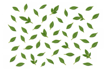 Fresh green leaves falling, scattered, and floating against a transparent background, symbolizing nature, growth, and freshness