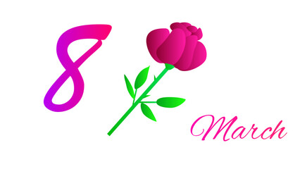 Pink tulip on white background. 8 March greeting card. Vector illustration.