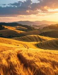 Rolling hills of golden wheat fields bask in the warm glow of the setting sun, with distant mountains under a cloudy sky