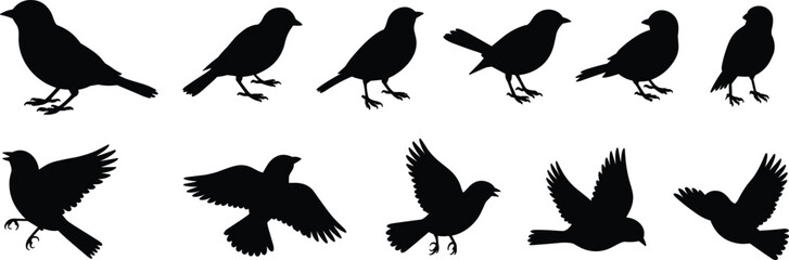 Silhouetted birds in standing and flying poses, depicting various avian shapes, wildlife movement, nature behavior, and decorative bird illustrations for design, art, and vector graphics.