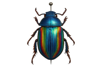 Iridescent jewel beetle with rainbow colors, pinned insect specimen for entomology collections on transparent background