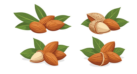 Obraz premium Various arrangements of fresh almonds, both shelled and in-shell, with vibrant green leaves, showcasing their natural beauty and healthy appeal.