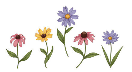 Obraz premium Watercolor illustration of a vibrant collection of pink coneflowers, yellow daisies, and purple asters with green stems, isolated on a white background.