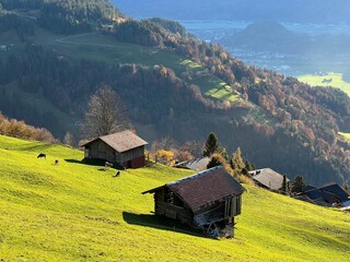 Traditional rural architecture and family livestock farms of the Bernese Oberland region, Switzerland - Traditionelle l&auml;ndliche Architektur und familiengef&uuml;hrte Viehzuchtbetriebe der Berner Oberland
