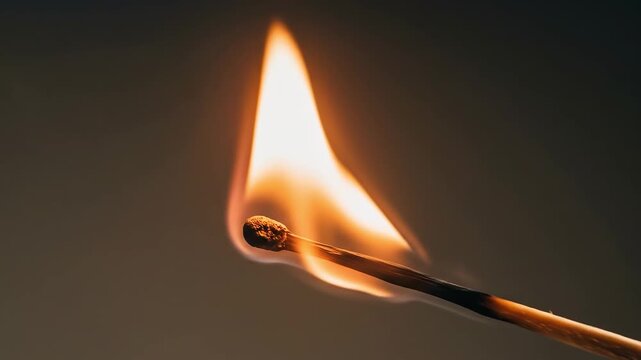 Matchstick ignited with flame against a dark background