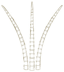 Abstract illustration of three tall, segmented plant stems, with fine line drawing style.
