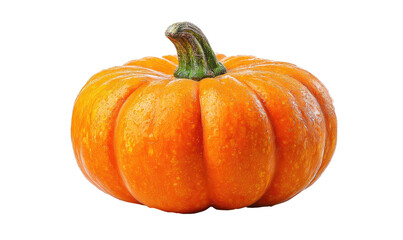 Ripe orange pumpkin with a green stem