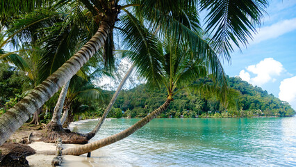 Relaxing tropical paradise on Koh Kood Island, Thailand with palm trees and clear waters