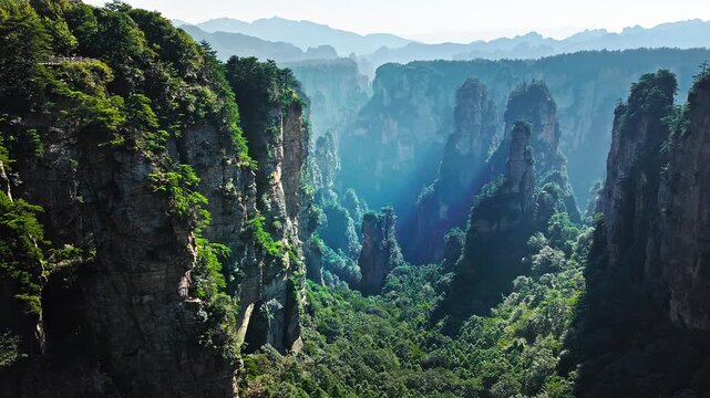 Aerial shot of majestic sandstone pillars and deep valley with lush green forest in Wulingyuan Scenic Area, Hunan Province, China. 