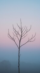 Fototapeta premium Solitary Tree Silhouette Against a Soft Pastel Sky at Dusk.