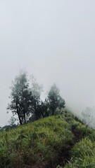 fog in the mountains