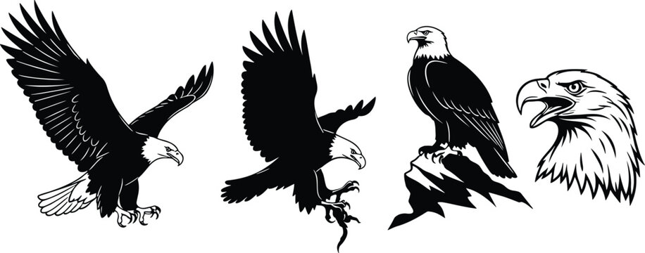 Bald Eagle Flying and Perched Head Profile Vector Illustration Set