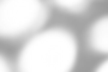 Abstract natural tree branch leaves shadow on white wall background