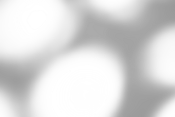 Abstract natural tree branch leaves shadow on white wall background