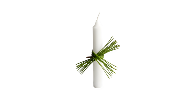 White candle decorated with green pine needles isolated on transparent background for christmas or winter holiday season