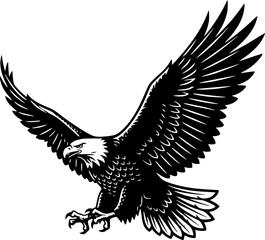 eagle in flight