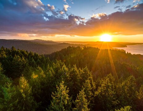 Aerial shot of a lush, evergreen forest as the sun sets, casting golden rays and highlighting the terrain. A distant body of water can be seen