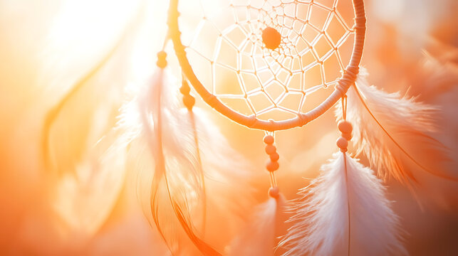 Dreamcatcher with soft feathers and warm sunlit glow, capturing peaceful moments.