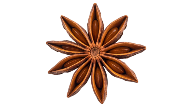 Macro Close-up of a Single Star Anise Spice Isolated on Transparent Background