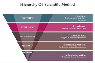 Hierarchy of Scientific Method. Infographic template with icons and description placeholder