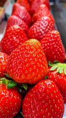 Close-up showcases a cluster of bright red, fresh strawberries with green stems