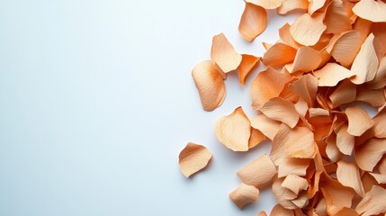 Delicate Peach Petals on Soft Blue Background for Elegant Design