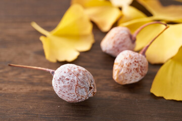 黄色いイチョウの葉