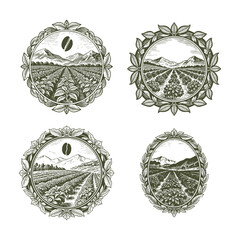 A classic set of four vintage engraving style illustrations depicting expansive coffee plantations in a mountainous landscape, framed by natural leaf wreaths