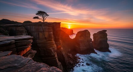 Golden hour illuminates rugged coastal cliffs and a solitary tree, overlooking a mesmerizing ocean as the sun dips below the horizon