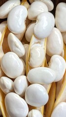 Close-up shows a heap of white lima beans with some in open yellow pods