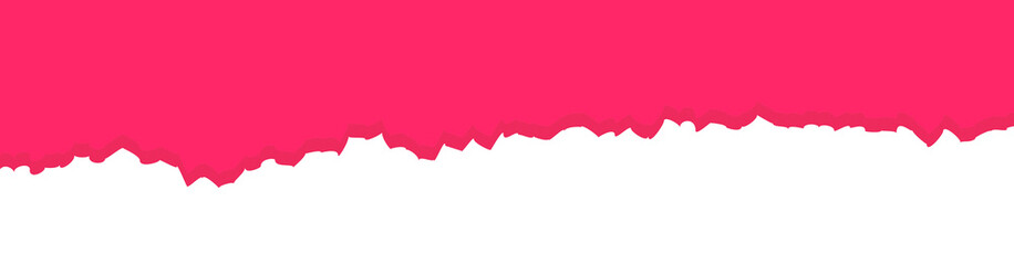 Torn Paper Ripped Edge Border Isolated on White Background