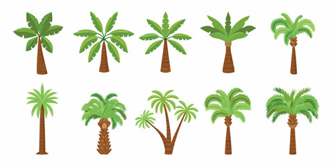 Fototapeta premium Collection of diverse cartoon palm trees with green leaves and brown trunks on a white background