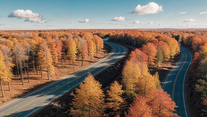 A high-angle, full shot captures a winding two-lane road cutting through a vibrant autumn forest under a partly cloudy blue sky. The road, marked with yellow lines, curves into the distance.