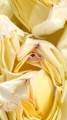 Close-up view of artichoke hearts, revealing layers of delicate, edible portions, light yellow hue