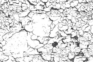 Fototapeta premium Natural Crack Texture with Organic Earthy Fracture Lines and Depth