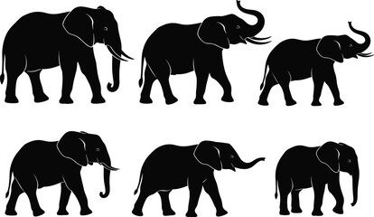 Large Collection of Elephant Silhouettes, Showing African and Asian Elephants Walking with Trunks Up and Down for Safari and Wildlife Vector Set